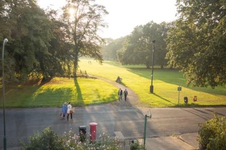 8883 Evening View out Web